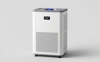 Best Whole House Dehumidifiers for Every Home